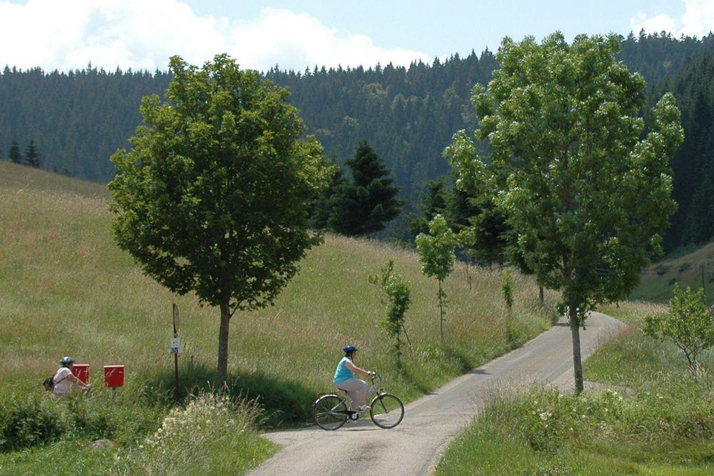 Cycling Lake Constance - Cycling Passau Vienna